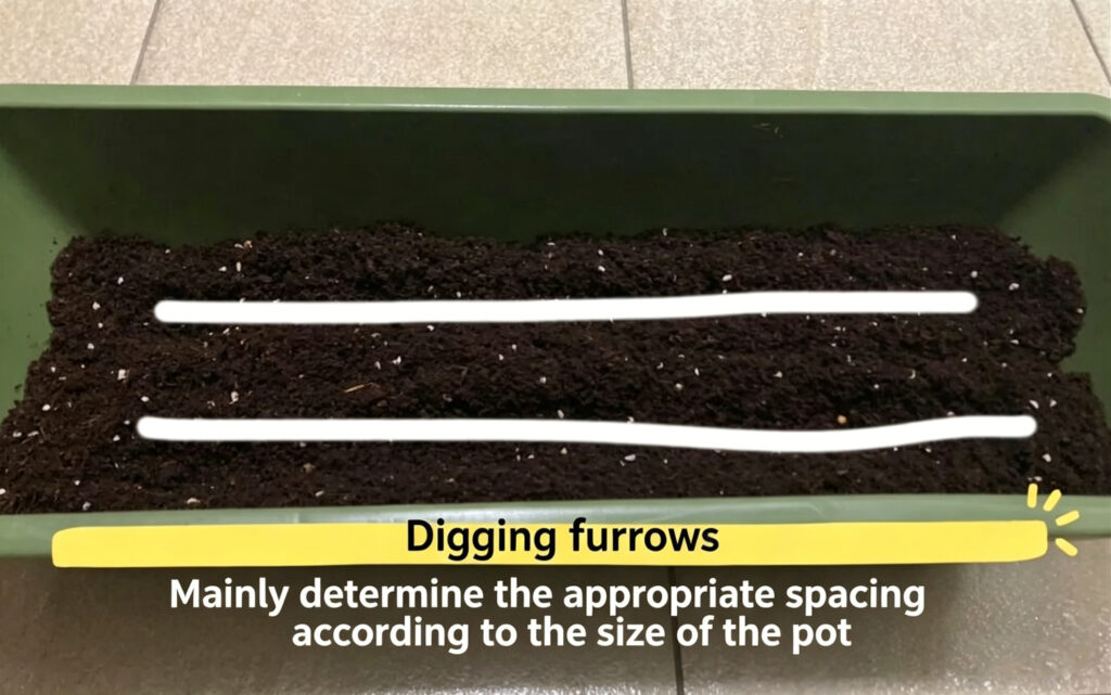 Create Planting Rows