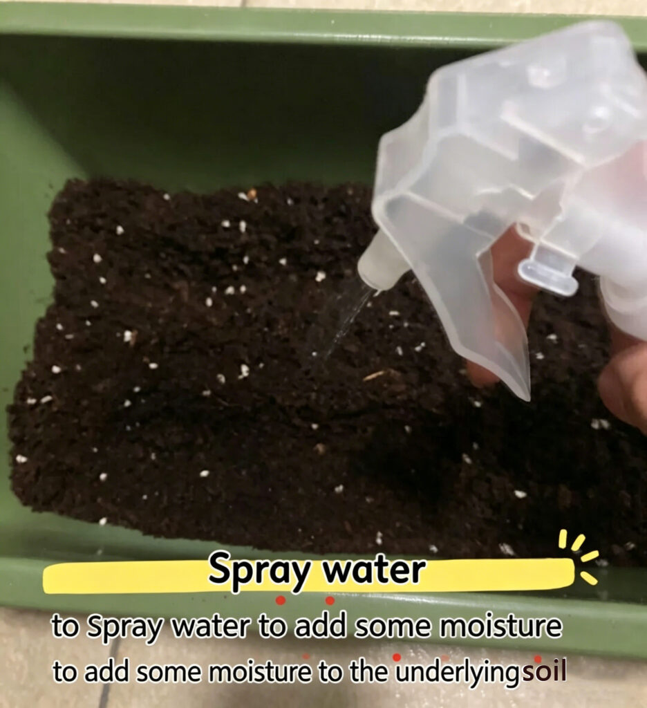 Pre-Moisten the Soil