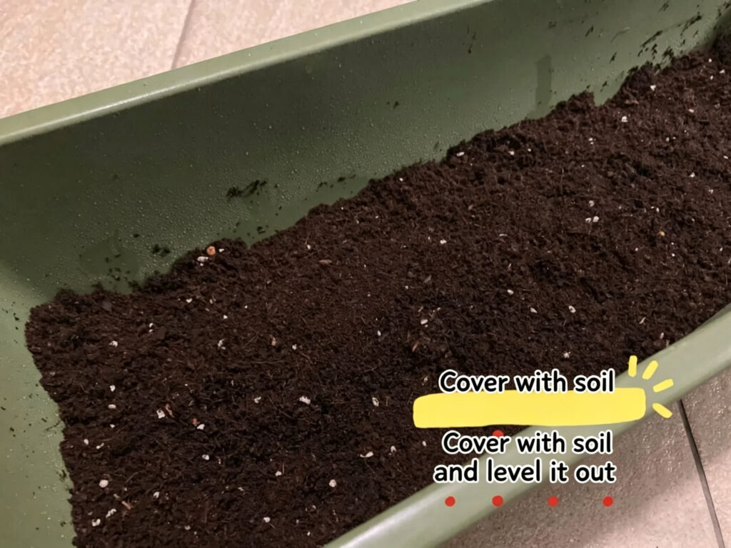 Cover the Seeds