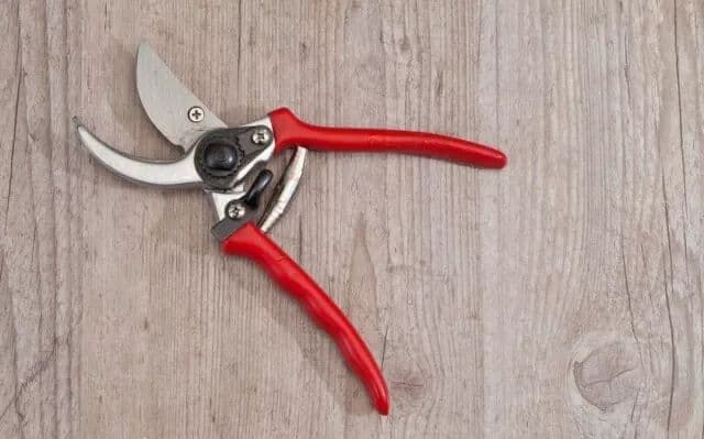 Gardening shears