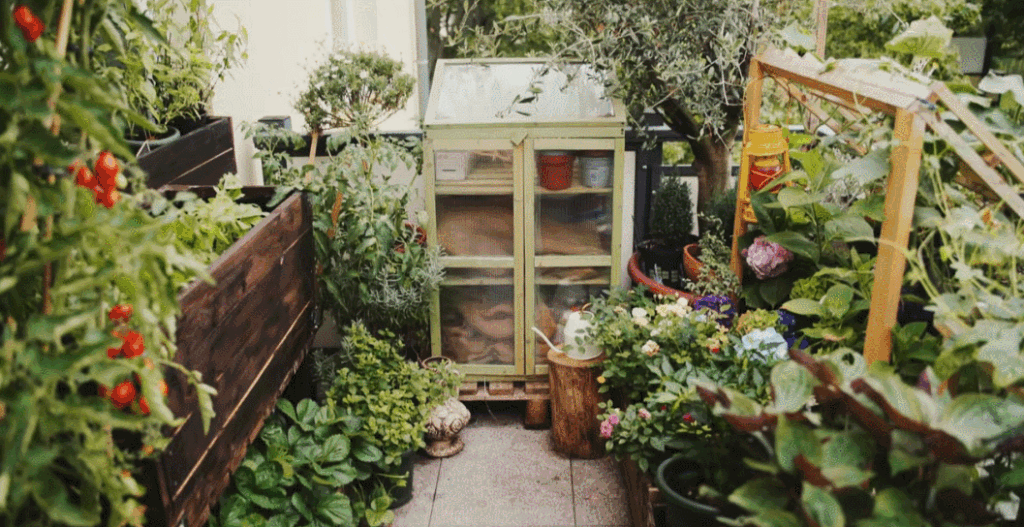 A Vegetable Garden in a Small Space A Vegetable Garden in a Small Space