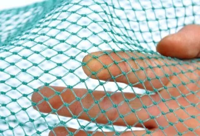 Mesh Bags