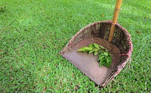 Dustpan and Gardening Cloth