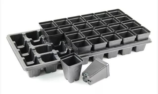 Seedling Trays