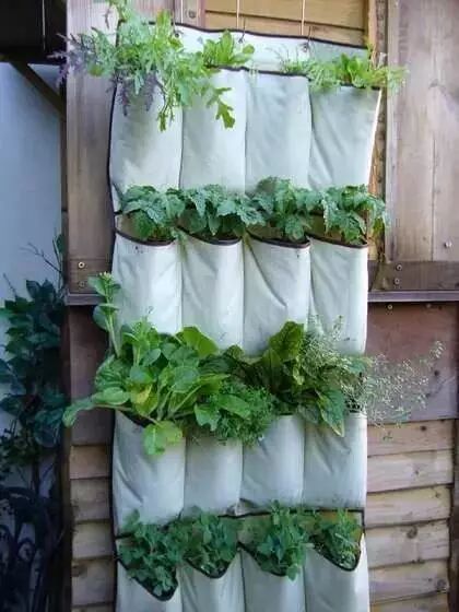 Creative Images of Growing 10+ Crops in Less Than 1㎡