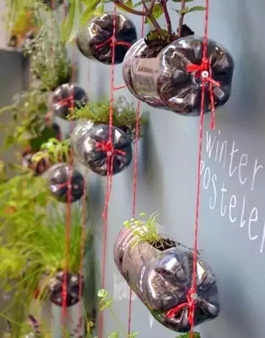 Creative Images of Growing 10+ Crops in Less Than 1㎡