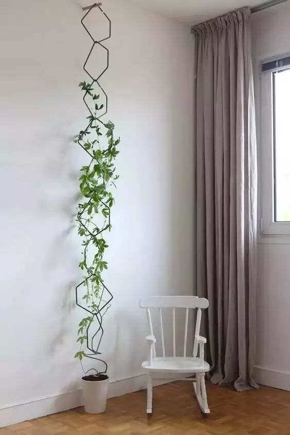 Creative Images of Growing 10+ Crops in Less Than 1㎡