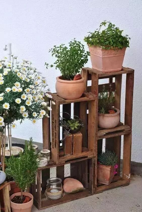 Creative Images of Growing 10+ Crops in Less Than 1㎡