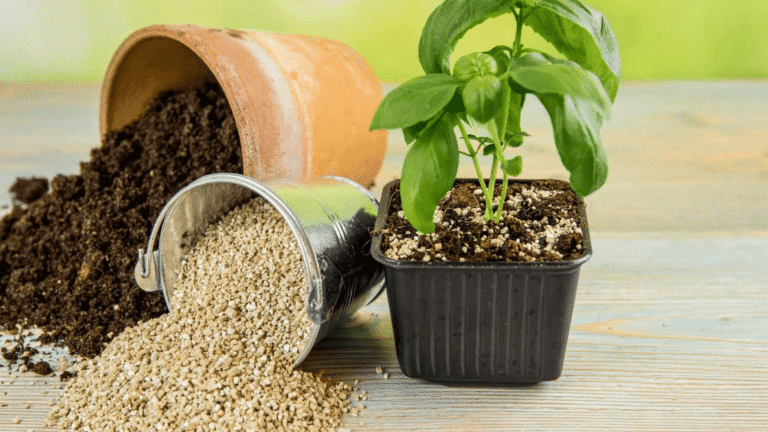 How to Mix Your Own Balcony Veggie Soil: 8 Simple Ingredients for Customizable, Healthier Crops