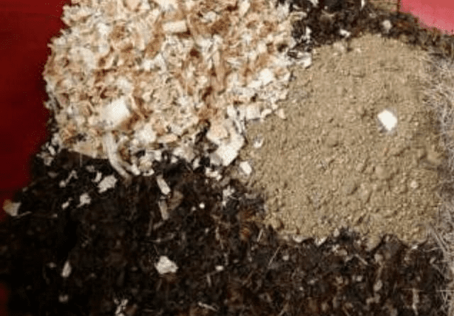 Wood Chips and Bark Chips