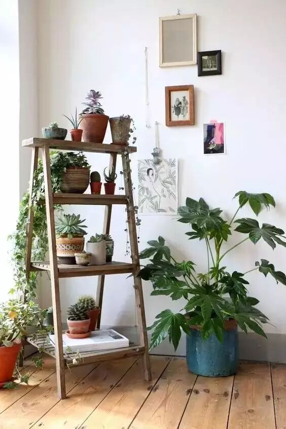 Creative Images of Growing 10+ Crops in Less Than 1㎡