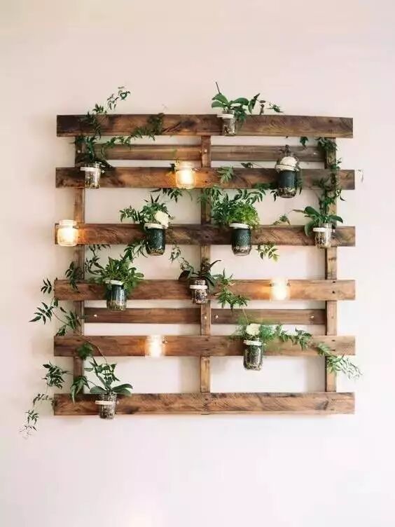 Creative Images of Growing 10+ Crops in Less Than 1㎡