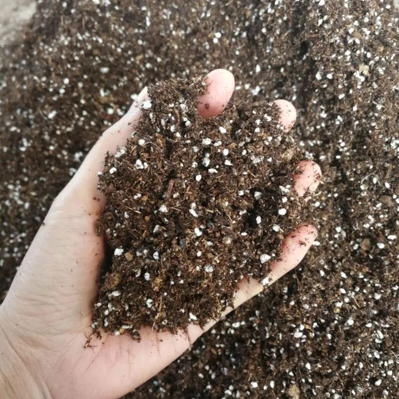A loose, well-aerated potting mix formulated for container gardening