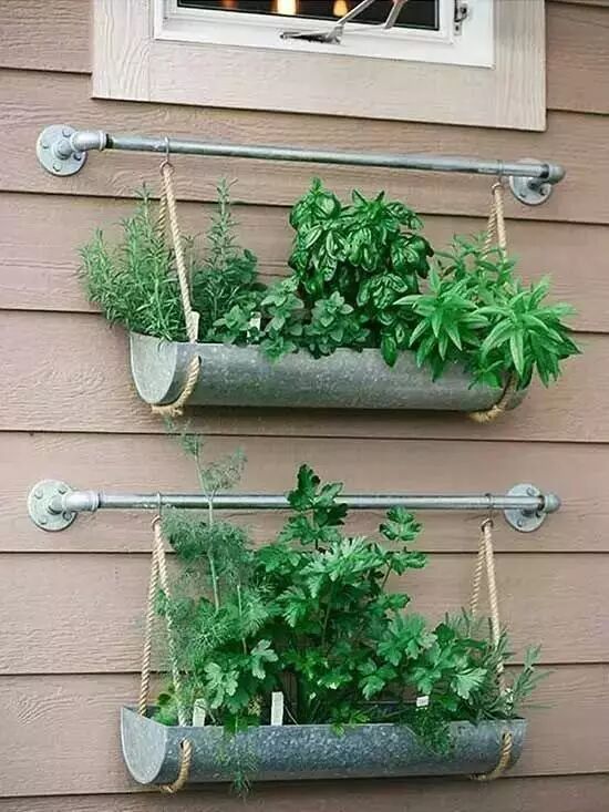 Creative Images of Growing 10+ Crops in Less Than 1㎡