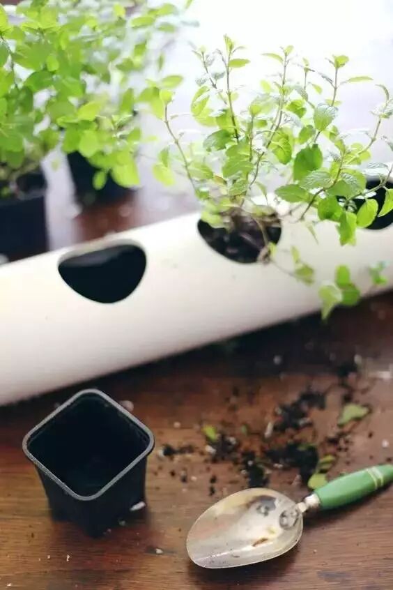 Grow 10+ Crops in Under 1㎡ Using PVC Pipe Planting Troughs 