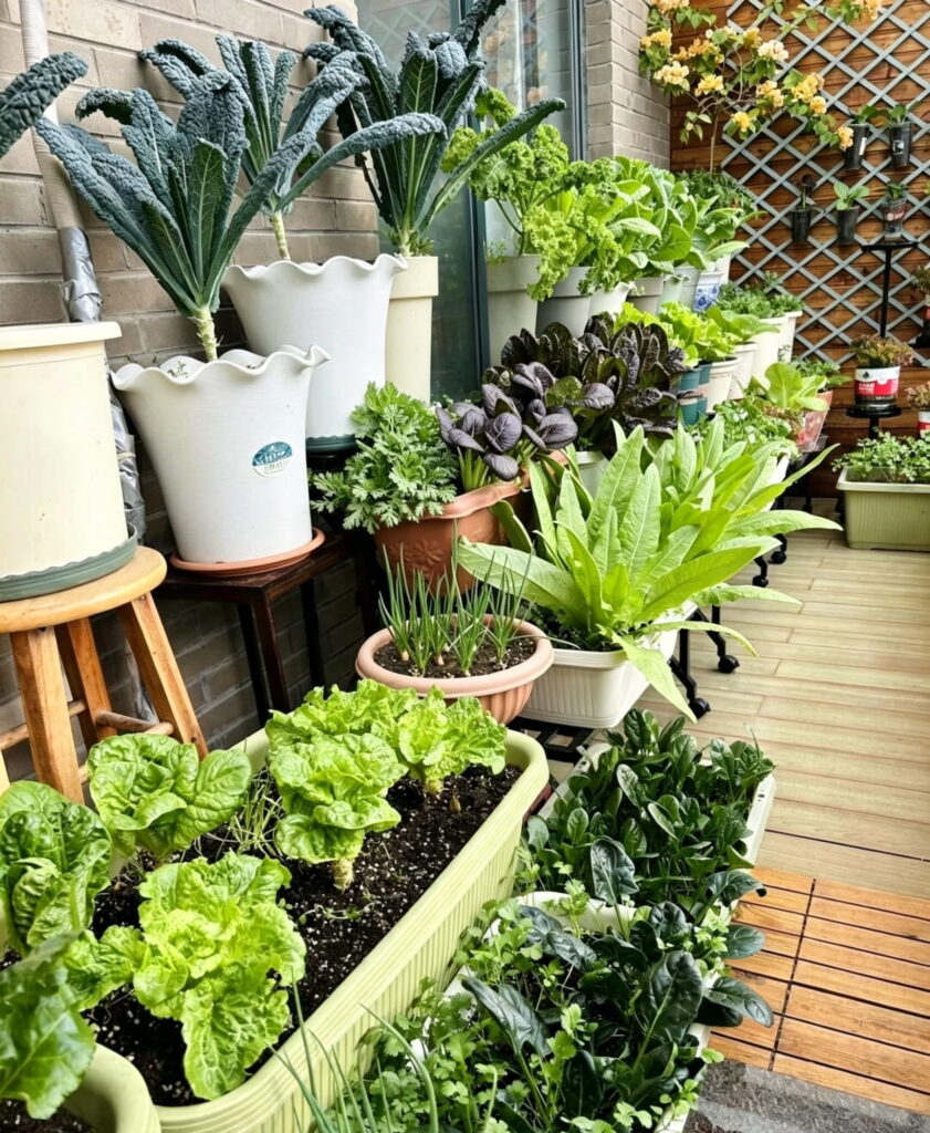 A well-lit balcony vegetable garden