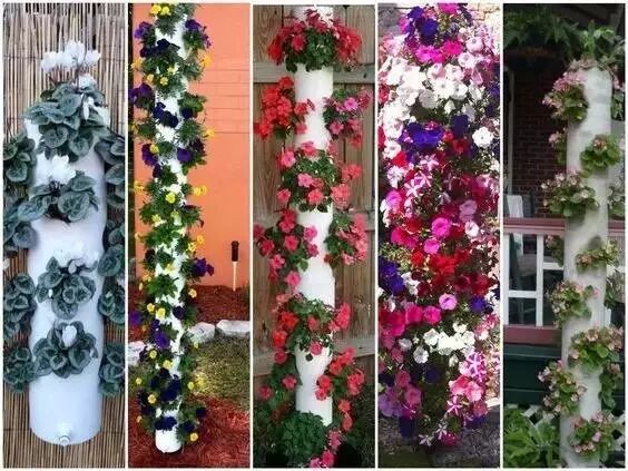 Grow 10+ Crops in Under 1㎡ Using PVC Pipe Planting Troughs 