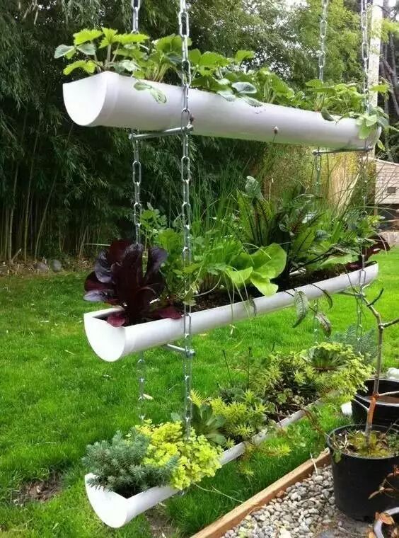Grow 10+ Crops in Under 1㎡ Using PVC Pipe Planting Troughs 