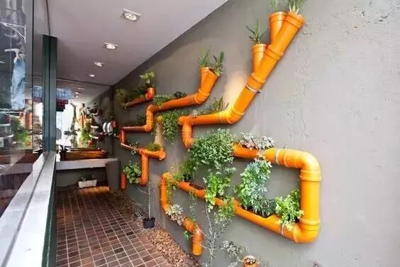 Grow 10+ Crops in Under 1㎡ Using PVC Pipe Planting Troughs 