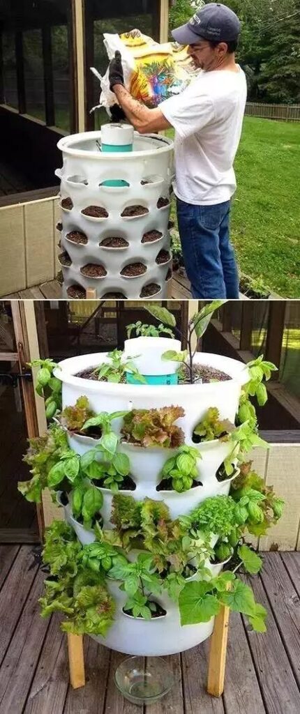 Using Grade plastic buckets to grow more than 10 different crops in a PVC space of less than 1 square meter 