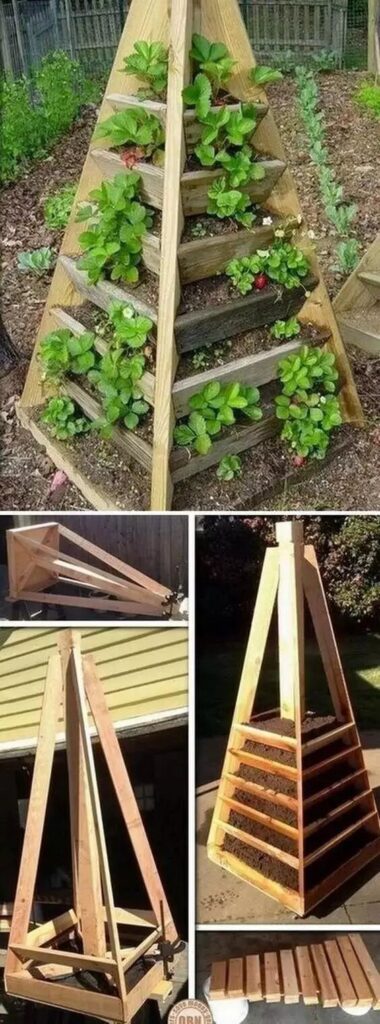 Using Wooden Pyramid Planting Frame Grow 10+ Crops In Under 1㎡