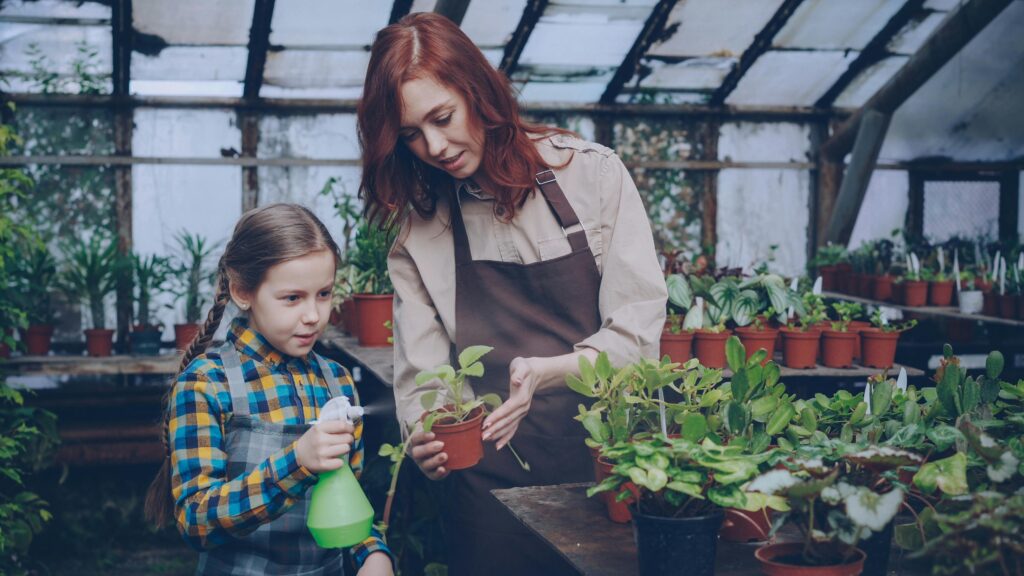 Spraying a pungent solution on vegetables to repel pests Spraying a pungent solution on vegetables to repel pests