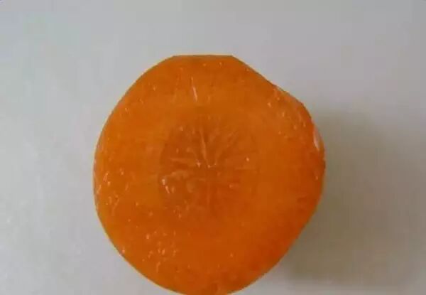 Article Images about Regrow Carrot Tops in Just 1cm of Water