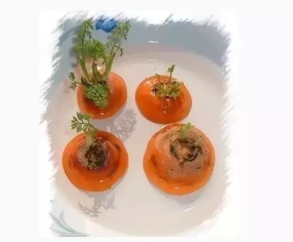 Article Images about Regrow Carrot Tops in Just 1cm of Water