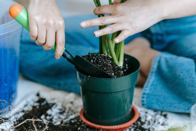 Balcony Vegetable Garden Summer Survival: 7 Proven Tips to Beat the Heat & Keep Plants Alive